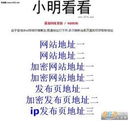 在线视频加密地址小明,解码数字安全新篇章